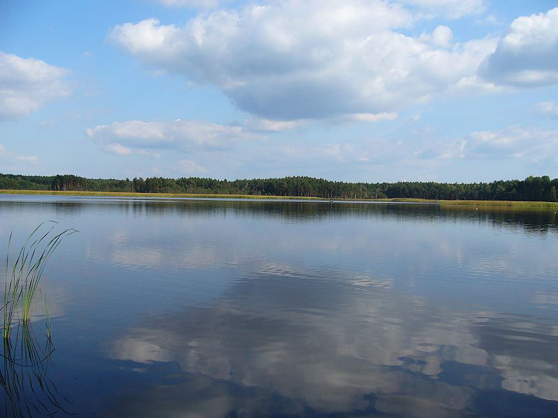 Staw „Adam” w pobliżu Zaklikowa … Więcej 1. Powiat Bilgorajski