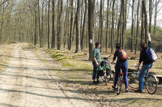 Ziemiański Szlak Rowerowy … Więcej Odcinek Leszno - Osieczna (okolice Góry Św. Jadwigi)