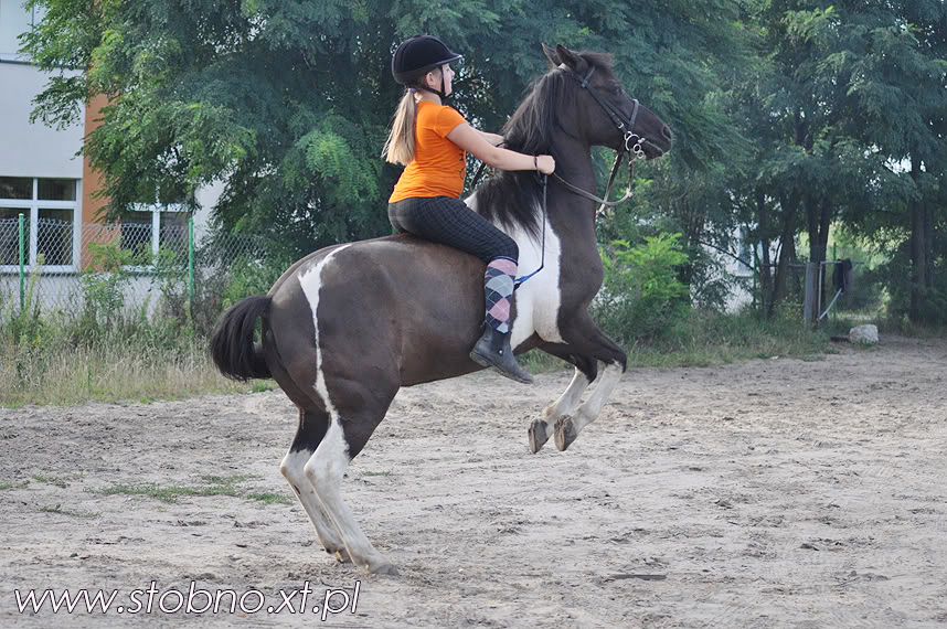 Nauka jazdy w Stobnie 10 km od Kalisza