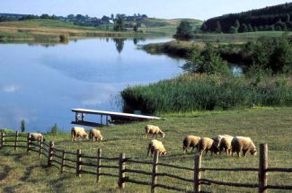 Ziemia Sejneńska zaprasza … Więcej Naturalna, niezurbanizowana przyroda, z dala od wielkomiejskiego ruchu, ekologiczne środowisko