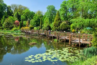 Arboretum w Bolestraszycach. Unikalność tego...Więcej Arboretum w Bolestraszycach. Unikalność tego miejsca polega na przygotowaniu Ogrodu Sensualnego