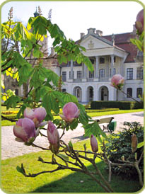 Wiosenna „oblicze” Kozłówki … Więcej Osobiście zachęcam do odwiedzin w Kozłówce w kwietniu. Zwłaszcza, kiedy kwitną fiołki i magnolie. Piękniejszych nie ma nawet w Luwrze