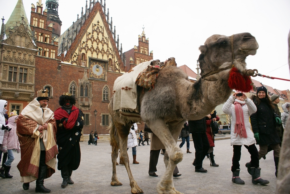 Trzej Królowie opuszczają wrocławski rynek, który 6 stycznia symbolicznie zamienia się w Betlejem