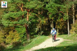 Wiewiórcza Ścieżka – trasa piesza… i rowerowa o długości 12 km prowadząca wokół Jeziora Oleckie Wielkie Wiewiórcza Ścieżka – trasa piesza… i rowerowa o długości 12 km prowadząca wokół Jeziora Oleckie Wiel