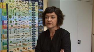 Geolog Powiatowy Agnieszka Bartyzel…Więcej » Geolog Powiatowy Agnieszka Bartyzel…Więcej »