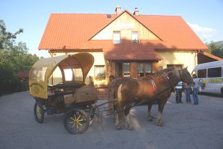 Pensjonat „Palomino” w Ściegnach k. Karpacza … Więcej Pensjonat „Palomino” w Ściegnach koło Karpacza powstał dzięki unijnej dotacji. Dał pracę kilku osobom. Tu obsługa jest na medal, ale właściciel miał szczęście. Wielu gestorów pensjonatów i hoteli narzeka, że nie ma ludzi do pracy. I to w czasach, gdy mówi się o bezrobociu. Ale chodzi o wykwalifikowaną kadrę, a nie o przypadkowe osoby z ulicy / fot.: Marek Perzyński
