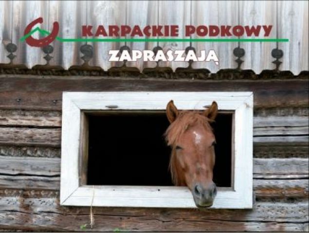 Winieta z logiem – projekt: Robert Łętowski; fotografia: Michał Przybyło; opracowanie graficzne: Konrad Korona