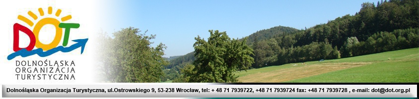 Współpraca z partnerami z zagranicy